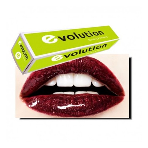 Monomérique Vinyl Sav brillant  80/ 120 - 1.52cm* 50m Evolution