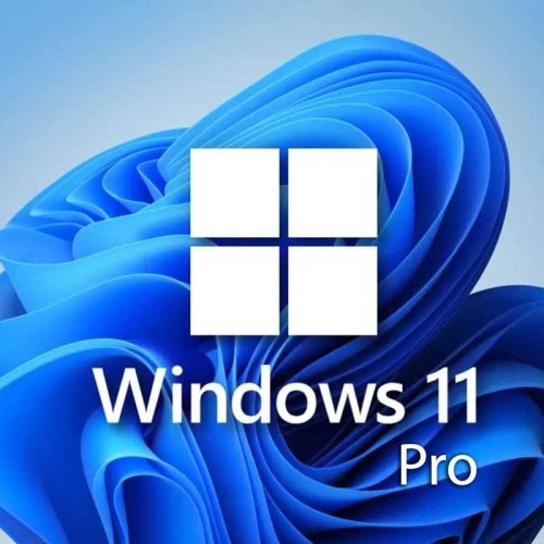 Microsoft Windows 11 Professionnel 64 bits (français) Microsoft Windows 11 Professionnel 64 bits (français)