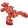 Bouée Gonflable Homard Intex Meilleur prix