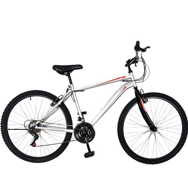 Vélo PRADO LEGEND 26 Pouces (9026L) - Gris