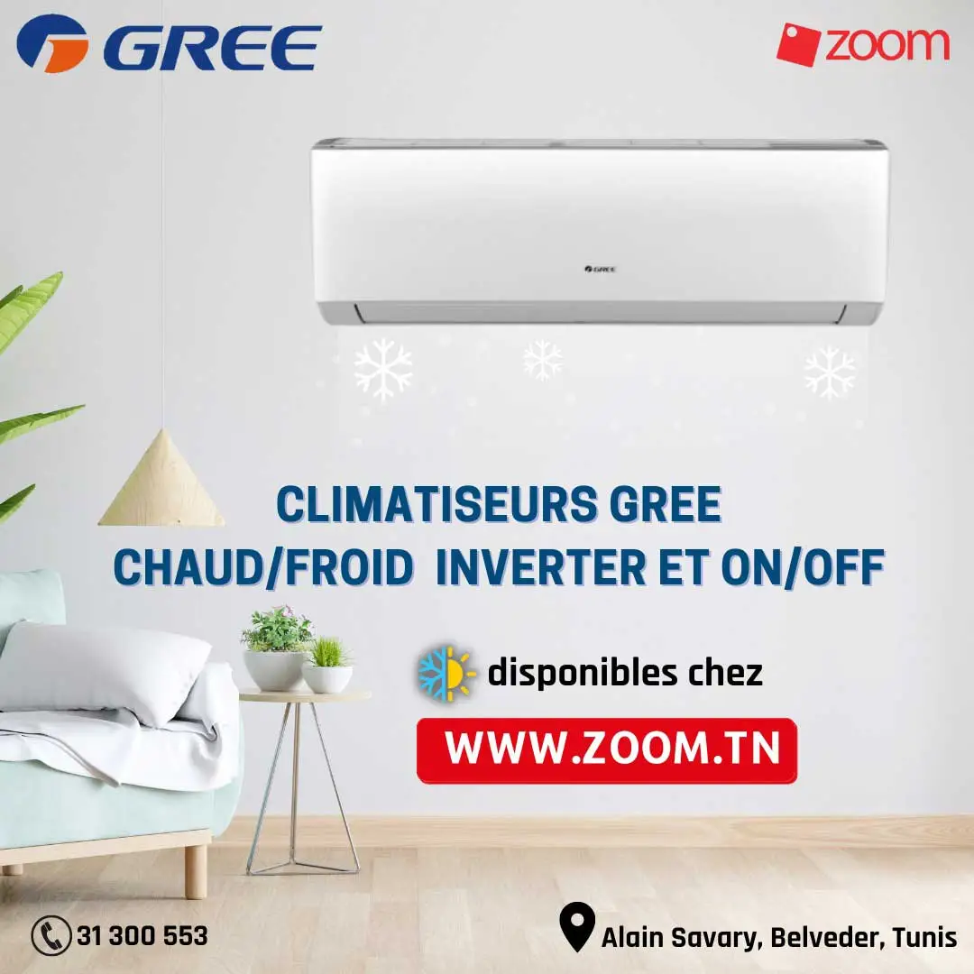 climatiseur gree