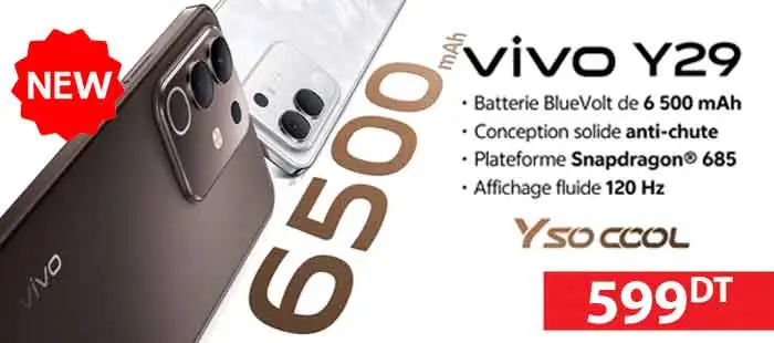 Smartphone Vivo Y29 8Go 256Go 599dt